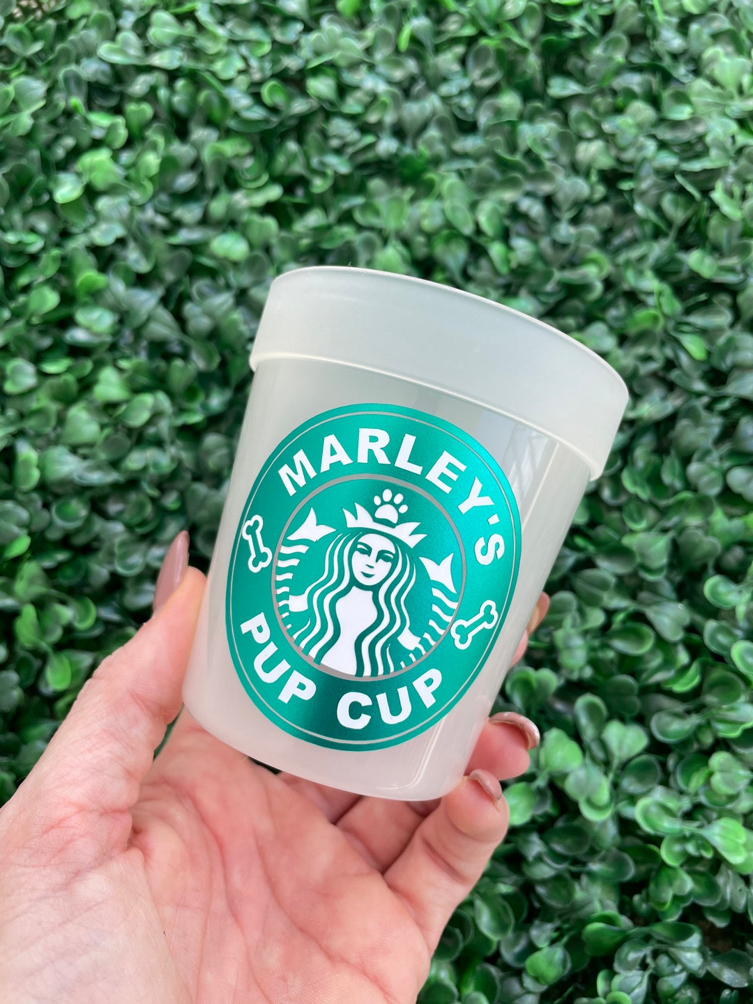 Starbucks Reusable Pup Cup | 8 oz Starbucks Puppucino | Green and White