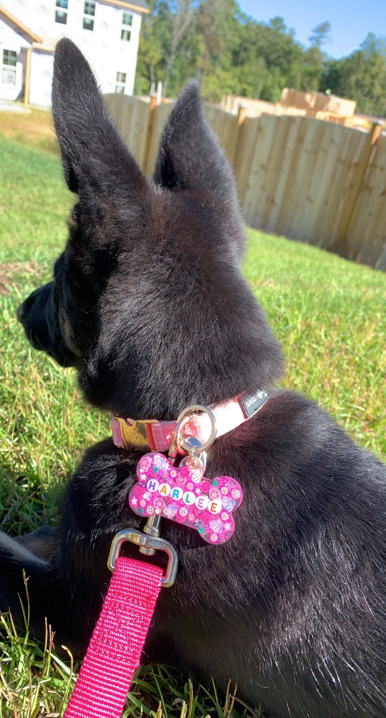 May include: A black dog wearing a pink collar and leash, with a bone-shaped tag that reads "HARLEE" in pink letters. The tag is decorated with colorful flowers and smiley faces. The dog is lying on green grass.