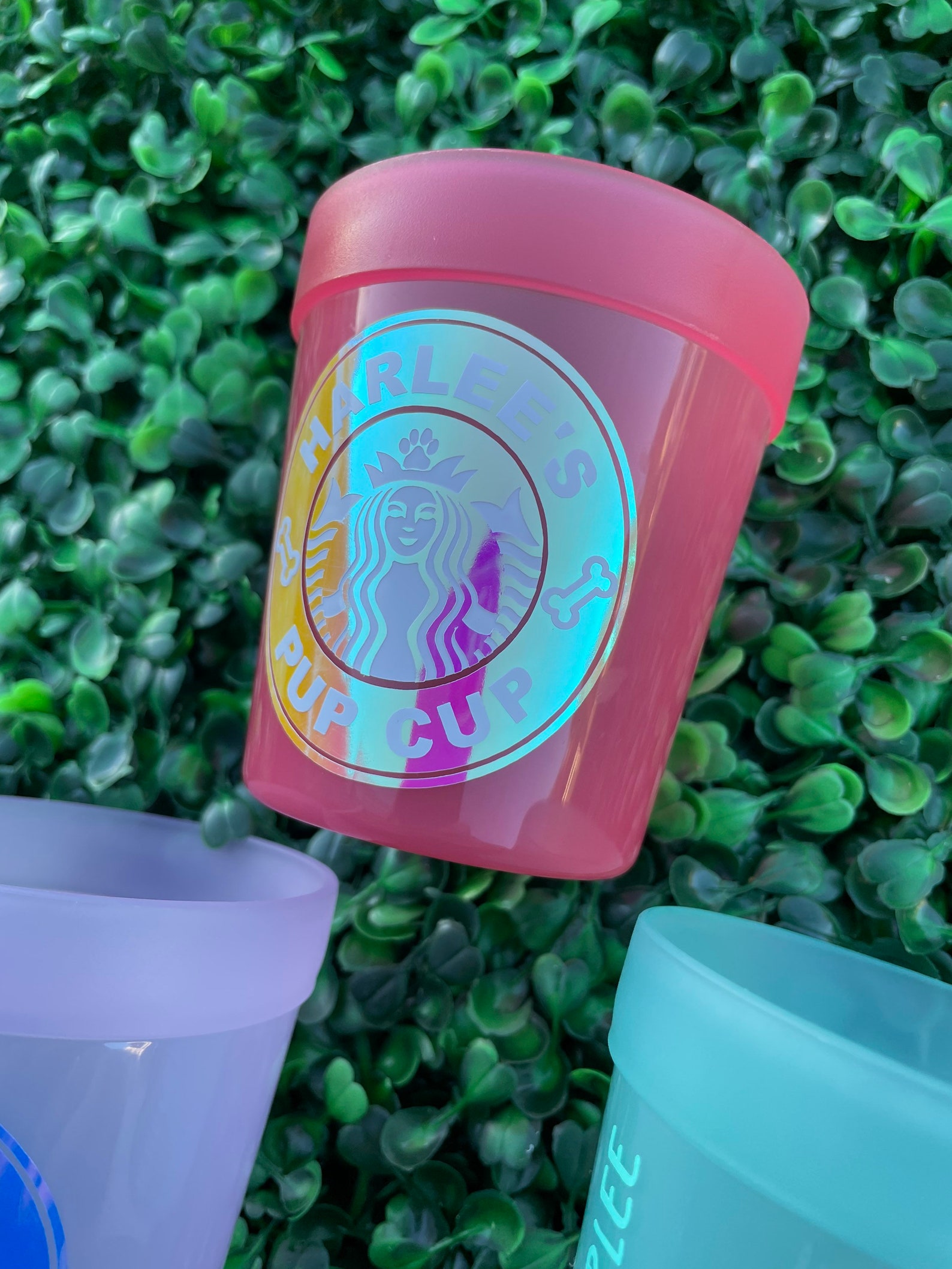 Starbucks Reusable Pup Cup 8 Oz Starbucks Puppucino Coral Etsy