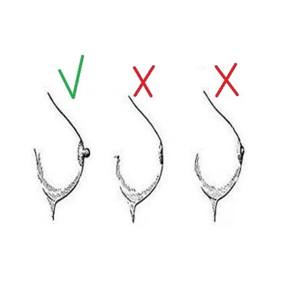 No pierce nipple rings deals