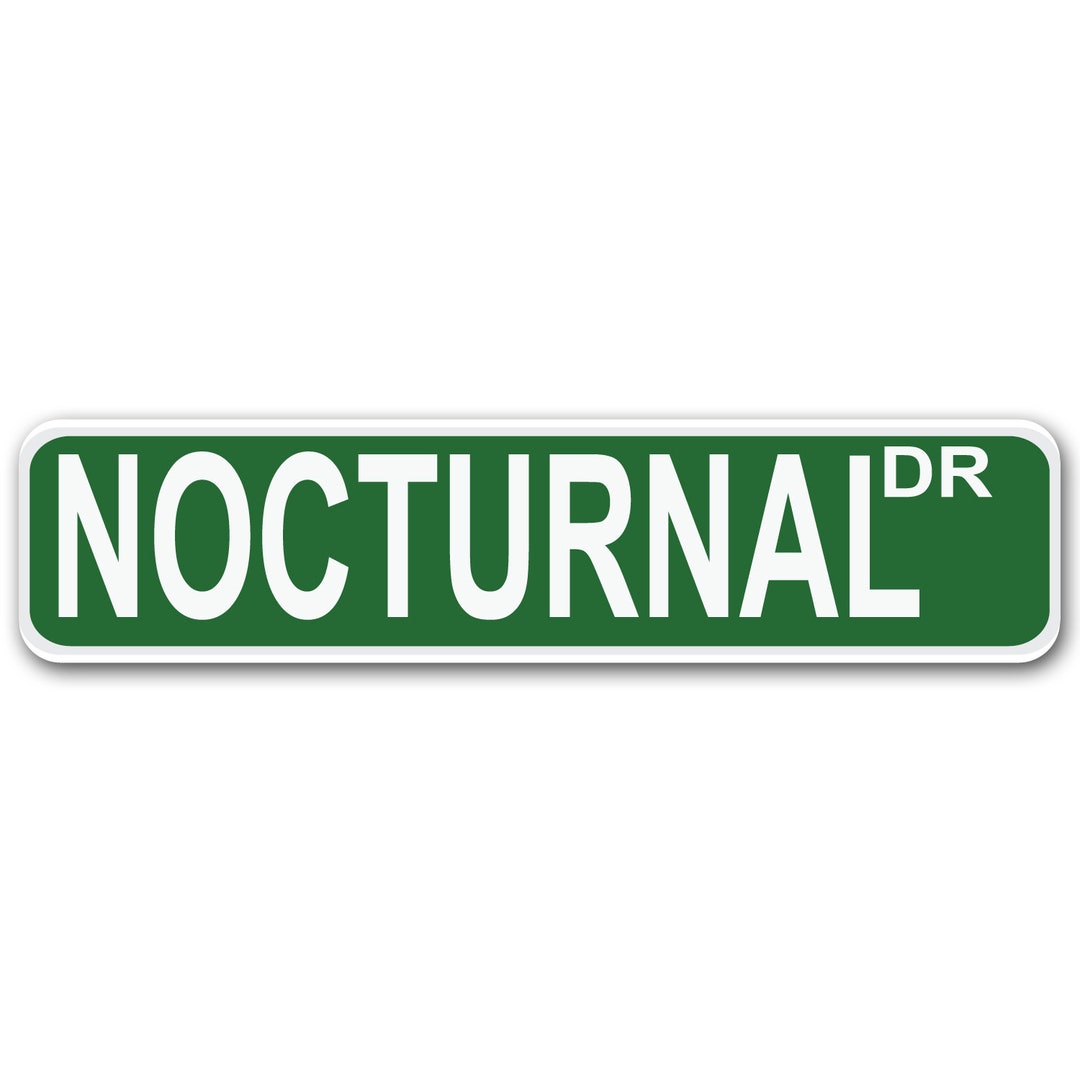 nocturnal-drive-4x-17-aluminum-street-sign-etsy