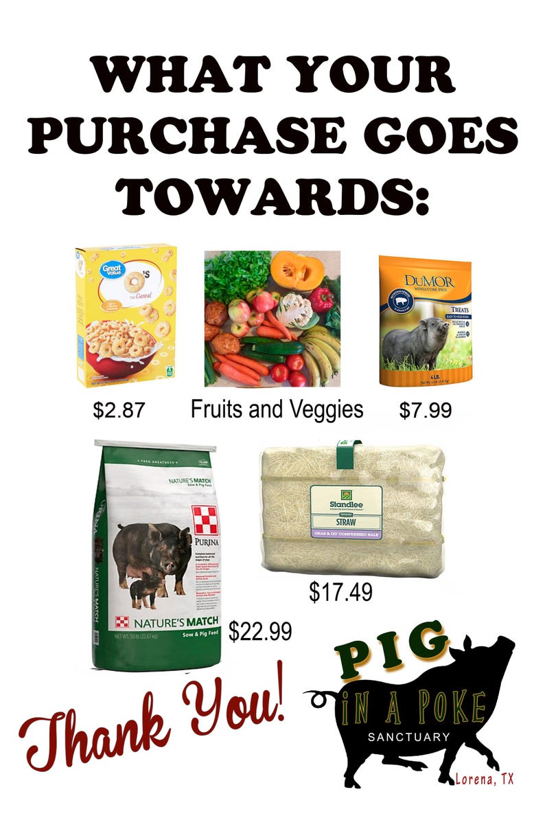 PigInAPokeSanctuary Kitchen Tea Towel - Thumbnail 3