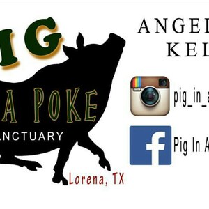May include: A black silhouette of a pig running with the text "PIG IN A POKE SANCTUARY" in green and gold lettering. The text "Lorena, TX" is below the pig. The text "ANGELIQUE KELLY" is in the upper right corner of the image. Below that is a social media icon for Instagram with the text "pig_in_a_poke_lorena" and a social media icon for Facebook with the text "Pig In A Poke-Lorena".
