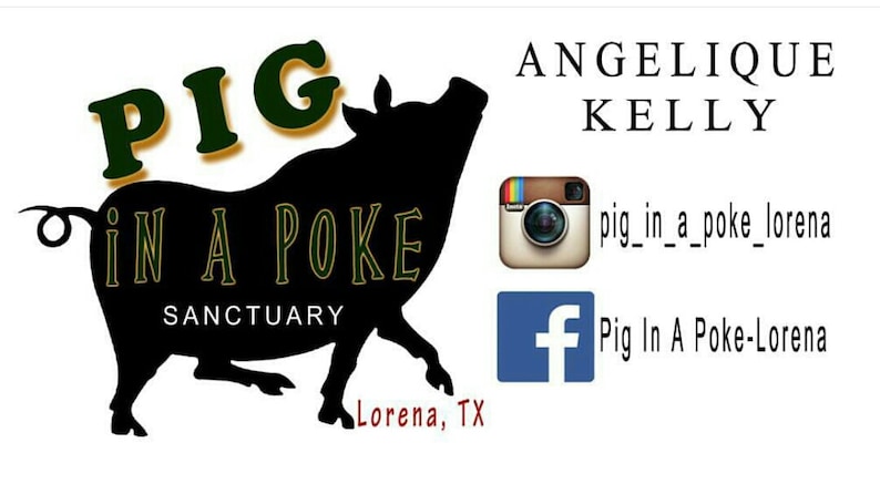 May include: A black silhouette of a pig running with the text "PIG IN A POKE SANCTUARY" in green and gold lettering. The text "Lorena, TX" is below the pig. The text "ANGELIQUE KELLY" is in the upper right corner of the image. Below that is a social media icon for Instagram with the text "pig_in_a_poke_lorena" and a social media icon for Facebook with the text "Pig In A Poke-Lorena".
