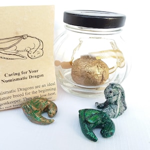 Handpainted Miniature Hatchable Hoarding Dragon with Coin Jar Habitat