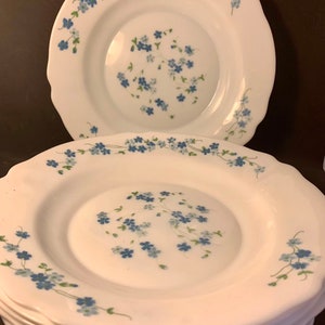 Set Six French Vintage Retro 1970s 9&quot; Arcopal Plates Floral Blue White Veronica design Myosotis Forget-me-not