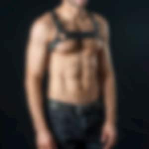 Black Leather Harness for men with  Golden Gear