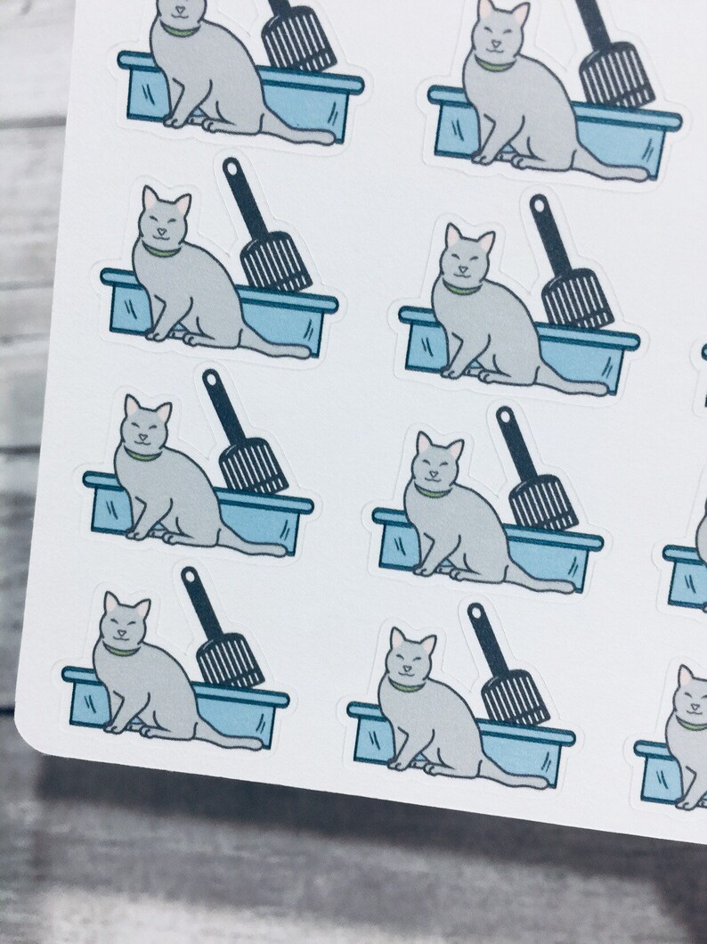 Clean Cat LITTER BOX Sticker Litter Box Sticker Reminder Etsy