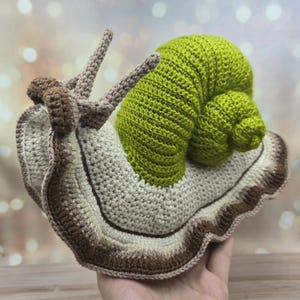 Snail toys 阿志 Magic trick Snail toys 阿志 Magic trick Magic Tricks Box - The Toy Network