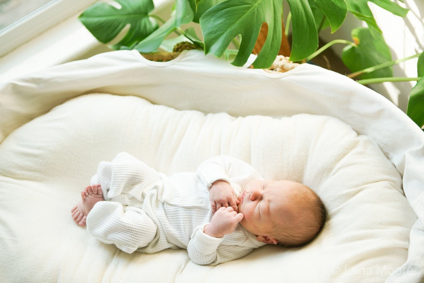 co sleeping pillow baby