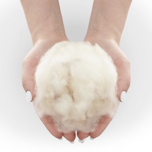 May include: A close-up of a person's hands holding a large, fluffy ball of white wool.