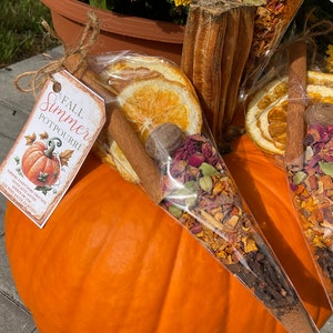 May include: Three cone-shaped bags filled with dried orange slices, cinnamon sticks, cloves, star anise, and other spices. The bags are tied with twine and have a tag that reads "Fall Simmer Potpourri".