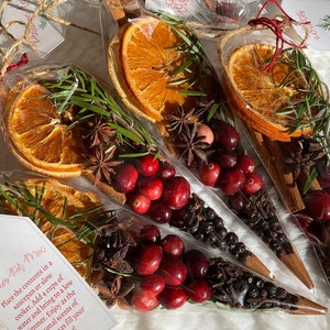 Holiday Simmer Potpourri