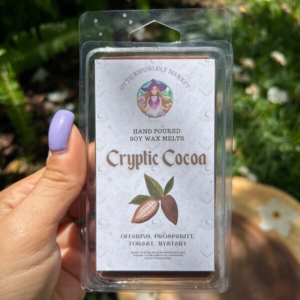 900 Home Ritual Wax Melts  | FM World Home Ritual Wax Melt 900 main image 1