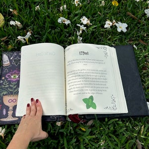 Pu&ograve; includere: Un libro aperto con sfondo bianco e copertina nera. Il libro &egrave; aperto a una pagina intitolata "Menta" e presenta una piccola illustrazione di una pianta di menta. Il libro &egrave; appoggiato su un letto di erba verde con fiori bianchi.