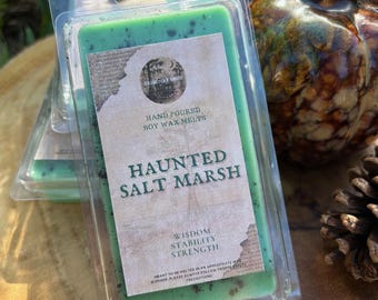 Haunted Salt Marsh Witches Wax Melts: Cinnamon Apple Mossy Woods Aromatherapy Ritual