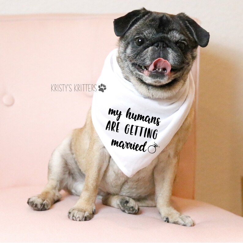 Hundehalstuch 'My Humans Are Getting Married' – Verlobungsgeschenk Für Haustiere, Hochzeitsfoto-Zubehör