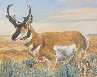 Monarch of the Plains-Pronghorn