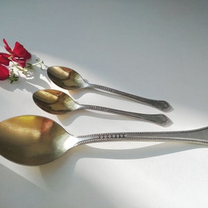 May include: Three silver spoons of varying sizes are arranged on a white surface, with a sprig of red flowers in the upper left corner. The spoons have decorative detailing along the handles and a polished, reflective bowl.