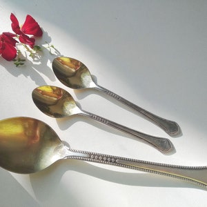 May include: Three silver spoons with ornate handles and oval bowls are arranged on a white surface. A sprig of red flowers adds a touch of color. The spoons are reflecting light, creating highlights and shadows.