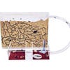Sand Ant Farm anthll Formcarum Educatonal Ants NO - Etsy