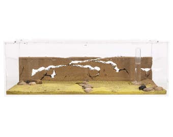Zandmierenboerderij BIG (mierenhoop, formicarium, educatief, mieren) GEEN MIEREN