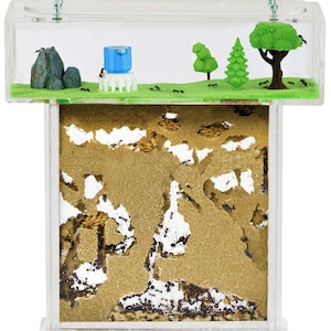 Sand Ant Farm T (Anthill, Formicarium, Educational, Ants) NO ANTS