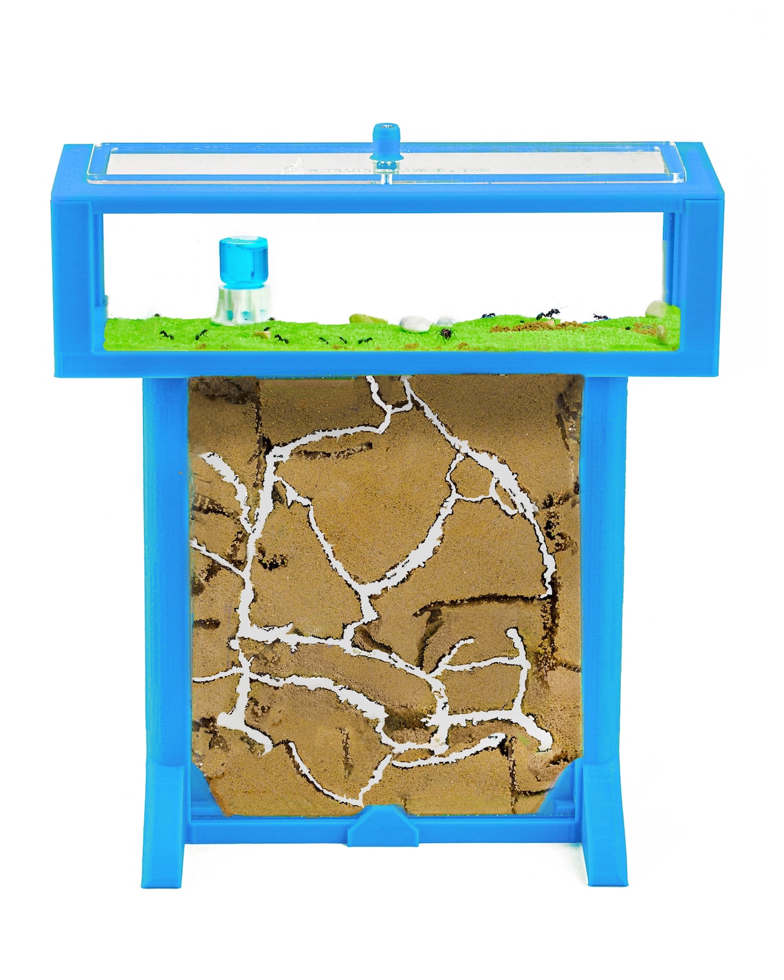 AntHouse - Natural Sand Anthill 3D Basic Kit (Sandwich Foraging Box) Grey Ants - Foto 13