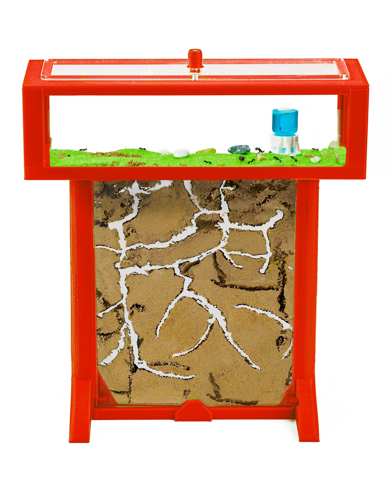 Sand Ant Farm Educative Ants For Ant Farm Sand Ant Farm Medium (Anthill, Formicarium, Educational, Ants) In Kenya | Science Ant Terrarium Osservazione Insetti Sand Ant Farm Educative Ants For Ant Farm Sand Ant Farm Medium (Anthill, Formicarium, Educational, Ants) In Kenya | Science Ant Terrarium Osservazione Insetti