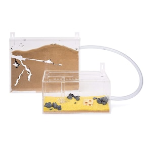 Sand Ant Farm Wall Kit BIG (Anthill, Formicarium, Educational, Ants) NO ANTS