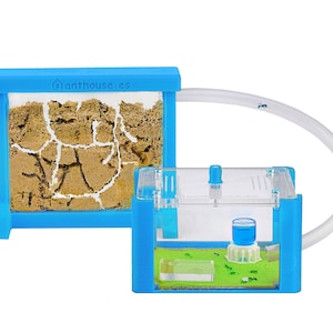 Sand Ant Farm Basic 3D (Anthill, Formicarium, Educational, Ants) NO ANTS