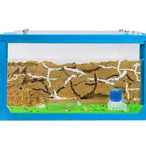 Sand Ant Farm 3D  (Anthill, Formicarium, Educational, Ants) NO ANTS