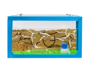 Sand Ant Farm 3D  (Anthill, Formicarium, Educational, Ants) NO ANTS