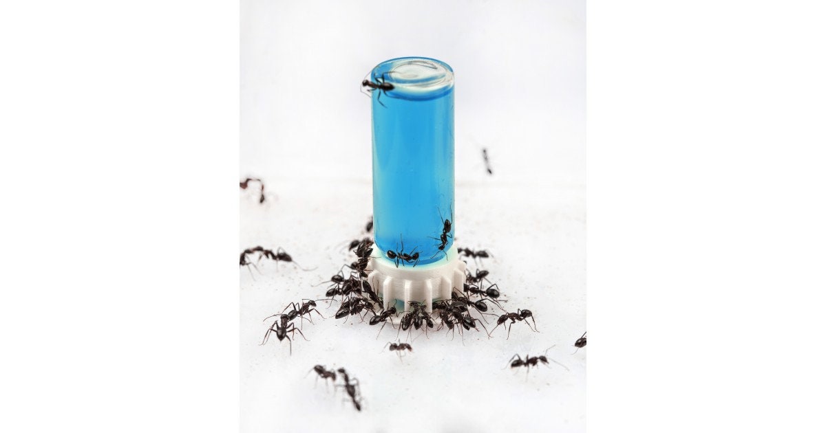 Alimento Per Formiche AntHouse Blue Sugar - 50 Ml, A Base Di Zucchero, Integratore Energetico Per Terrari - Foto 9