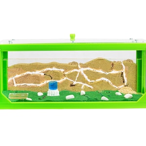 Sand Ant Farm BIG 3D  (Anthill, Formicarium, Educational, Ants) NO ANTS