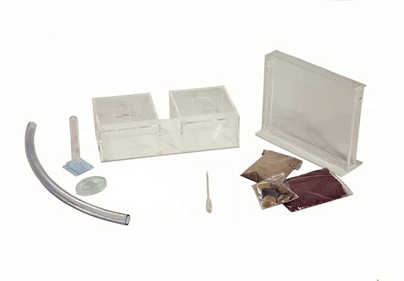 Ameisenfarm Starterkit BIG (Ameisen Mit Königin FREE)-Ant Farm