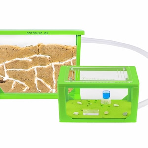 Sand Ant Farm Medium 3D (Anthill, Formicarium, Educational, Ants) (NO ANTS)