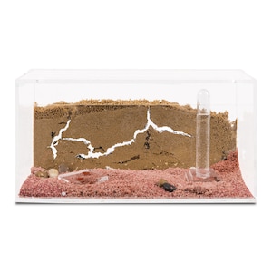 Sand Ant Farm (Anthill, Formicarium, Educational, Ants) NO ANTS