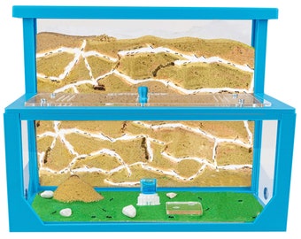 3D Natürliche Ameisenfarm aus Sand - Modell L (Sandwich + Futterbox) (Gratis Ameisen)