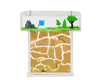 Ameisenfarm T Acryl (Ameisen mit Königin FREE)(Granja de hormigas, Formicarium, Hormigas)