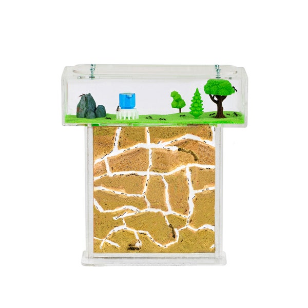 Ameisenfarm T Acryl (Ameisen mit Königin FREE)(Mierenboerderij, Formicarium, Mieren)