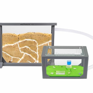 3D Ameisenfarm AmeisenHaus Medium Kit