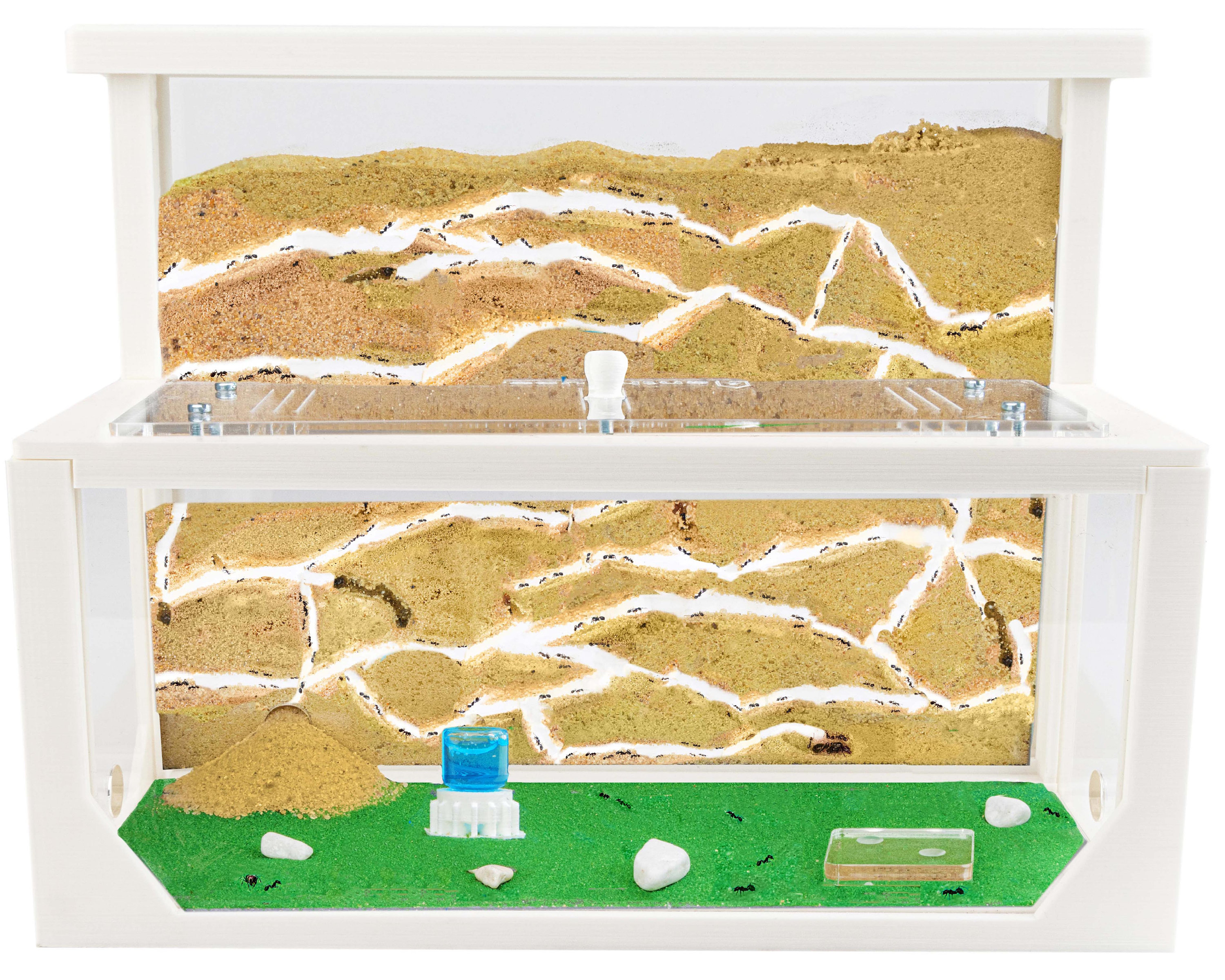 AntHouse - Natural Sand Mieren - Kit L 3D (sandwich + voederbak) (GEEN MIEREN)