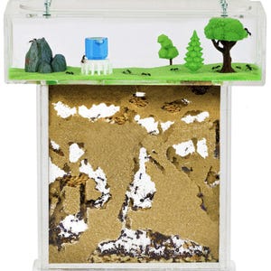 Ant Farm T with free Ants and Queen - Educational formicarium for LIVE ants …