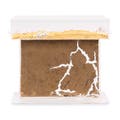 Sand Ant Farm T BIG (Anthill, Formicarium, Educational, Ants) NO ANTS product logo