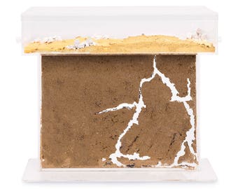 Sand Ant Farm T BIG (Anthill, Formicarium, Educational, Ants) NO ANTS