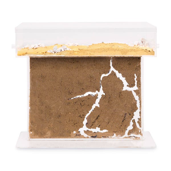 Sand Ant Farm T BIG (Anthill, Formicarium, Educational, Ants) NO ANTS