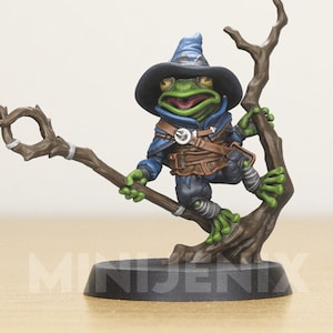 Mess With The Hoppity You Get The Poppity, Frog Wizard TTRPG Resin Miniature for 28mm or 32mm