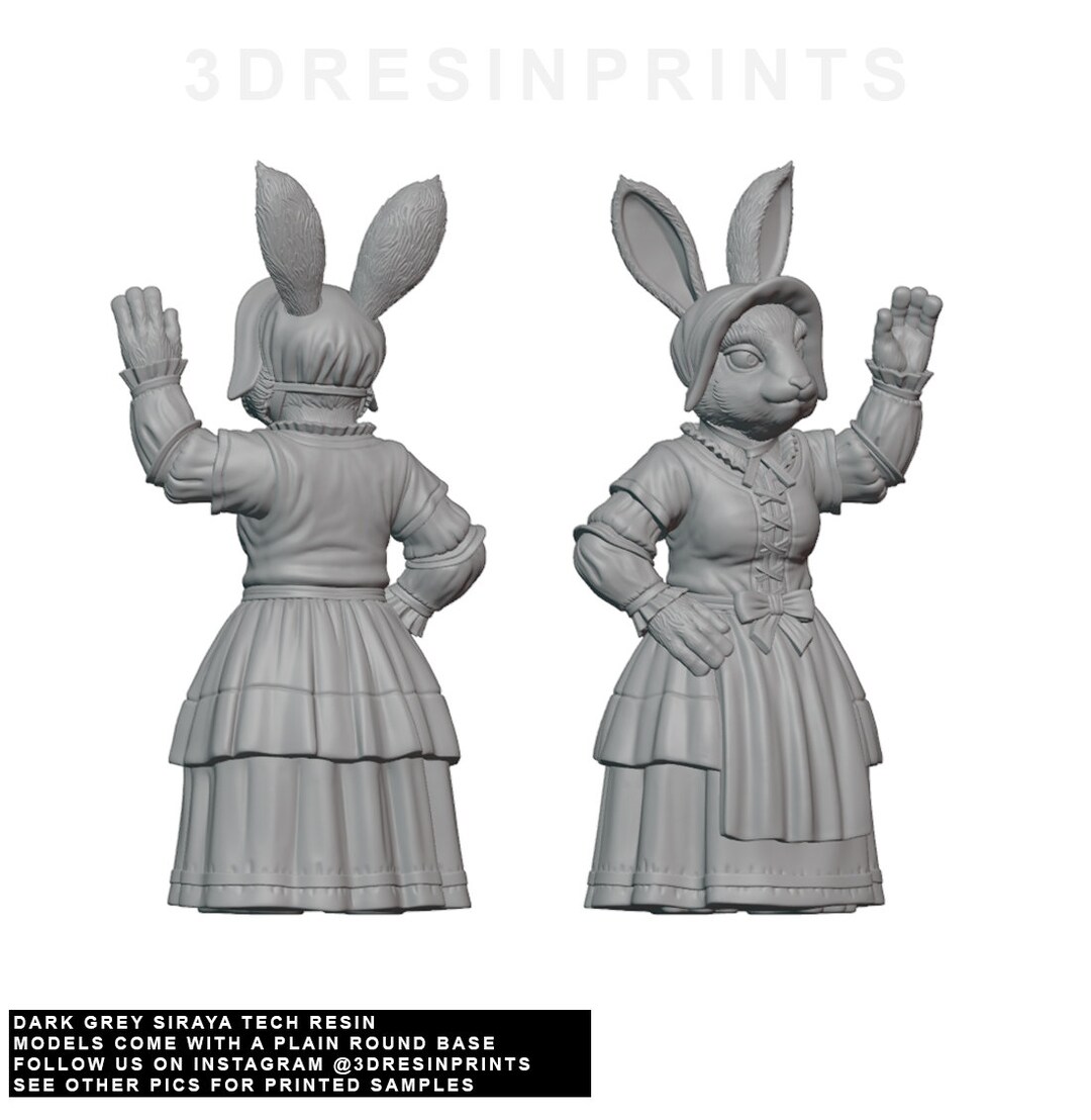 RABBIT NPC GIRL Fantasy: Frostgrave Pathfinder D&D Resin - Etsy