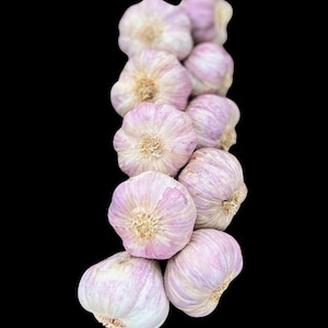 May include: A vertical arrangement of garlic bulbs against a black background. The bulbs are a pale purple color with a textured surface. The garlic heads are tightly clustered together, showcasing their natural form.